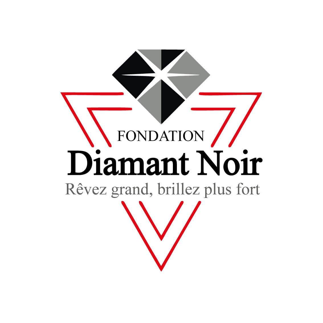 Logo fondationdiamantnoir